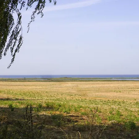 Duenenmeer Ferienwohnung Ostseebad Kühlungsborn Exterior foto
