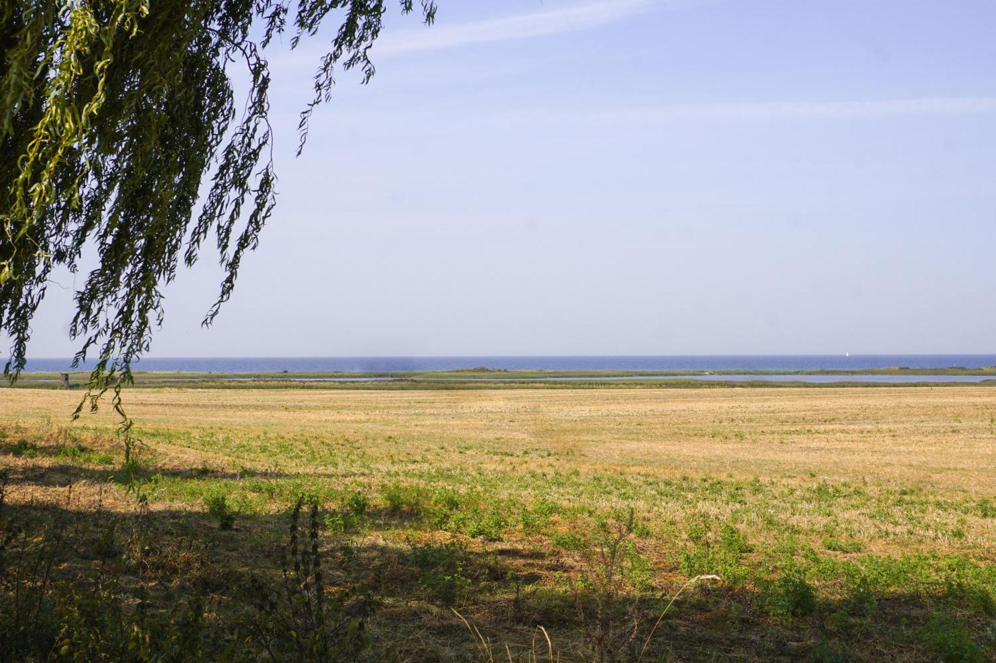 Duenenmeer Apartment Ostseebad Kühlungsborn
